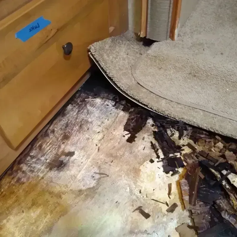 Wood Floor Water Damage in Oakbrook Terrace, IL